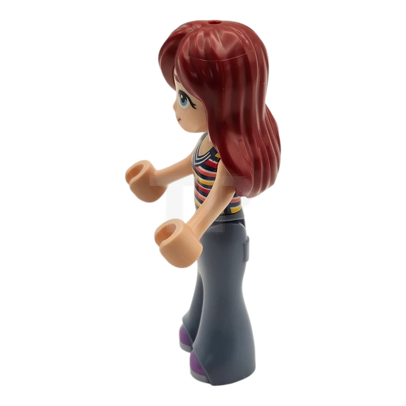 LEGO&reg; frnd0746 Paisley