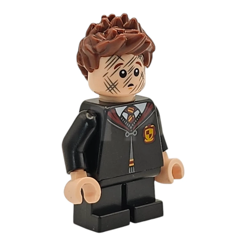 LEGO&reg; hp491 Seamus Finnigan