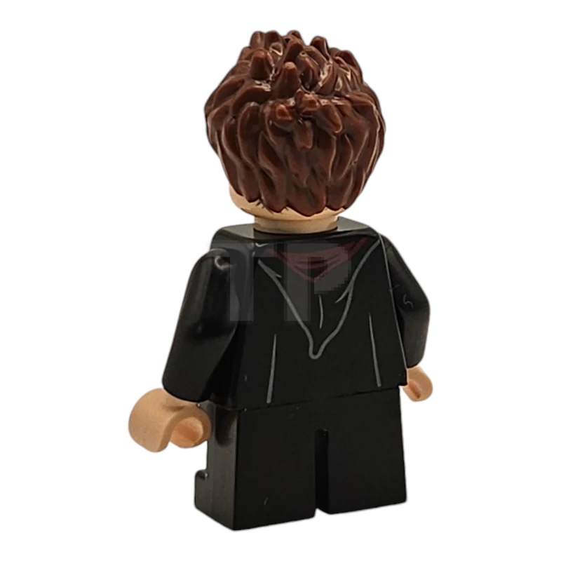 LEGO&reg; hp491 Seamus Finnigan