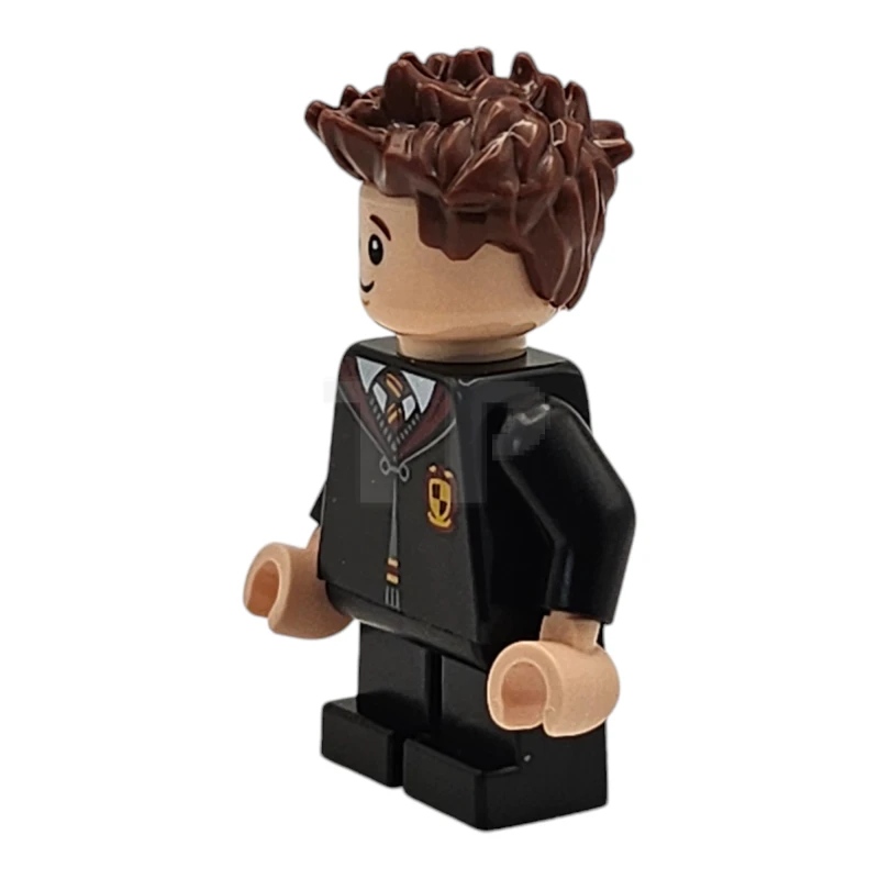 LEGO&reg; hp491 Seamus Finnigan