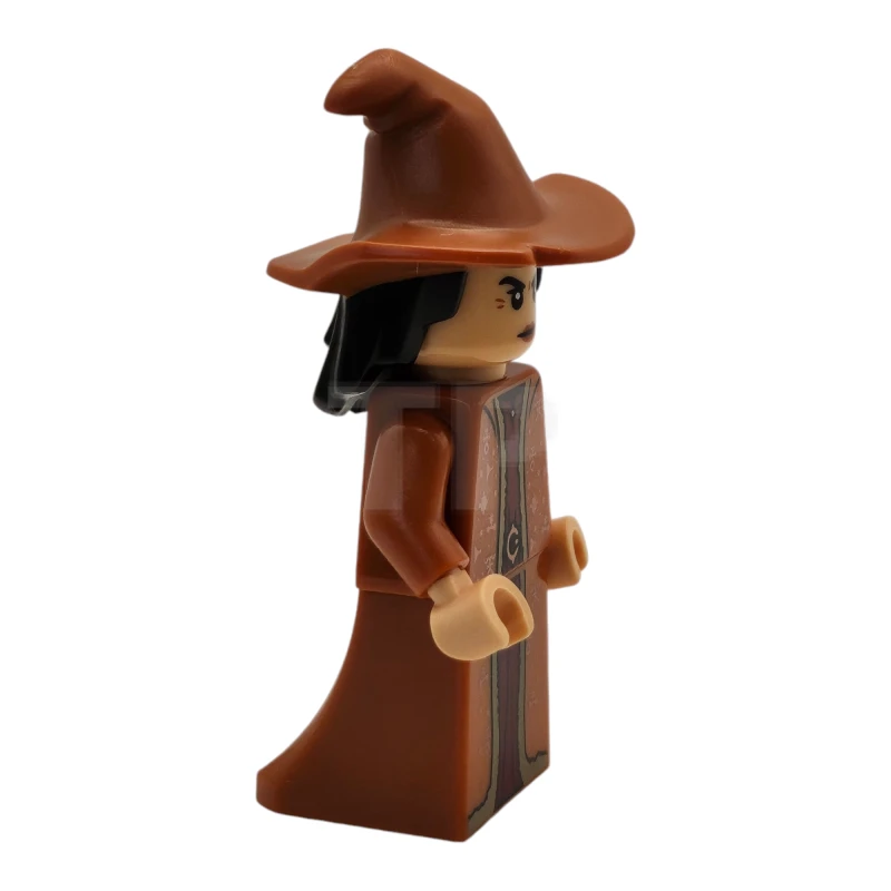 LEGO&reg; hp485 Professor Vector