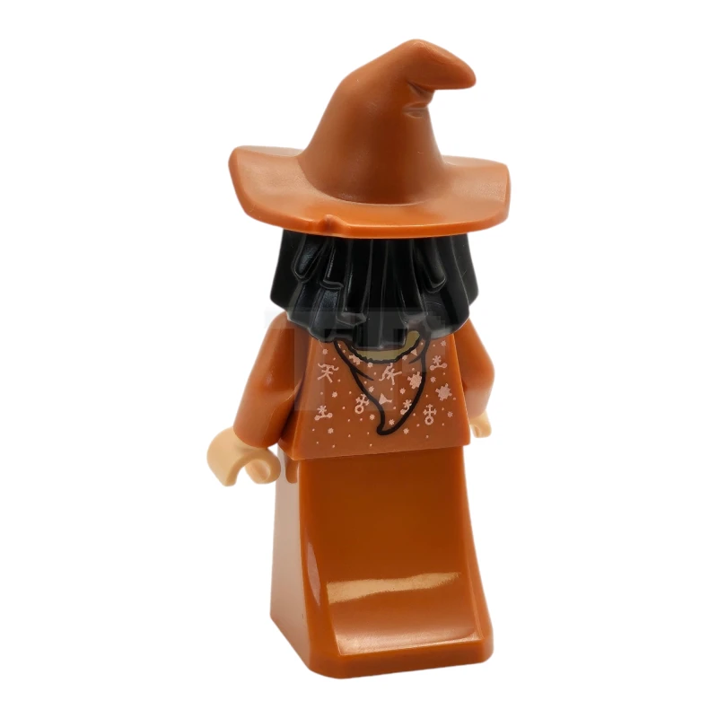 LEGO&reg; hp485 Professor Vector