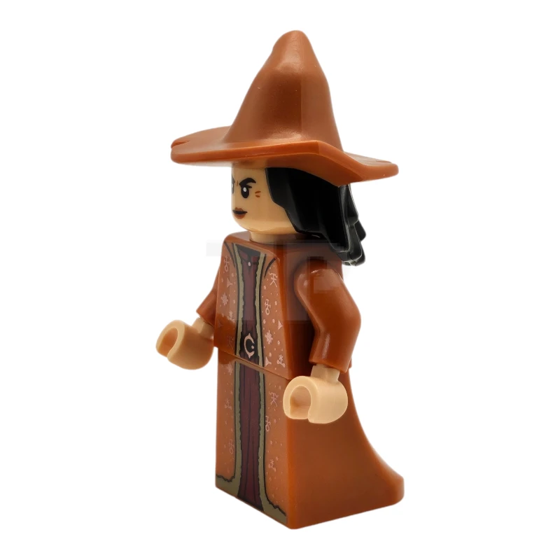 LEGO&reg; hp485 Professor Vector