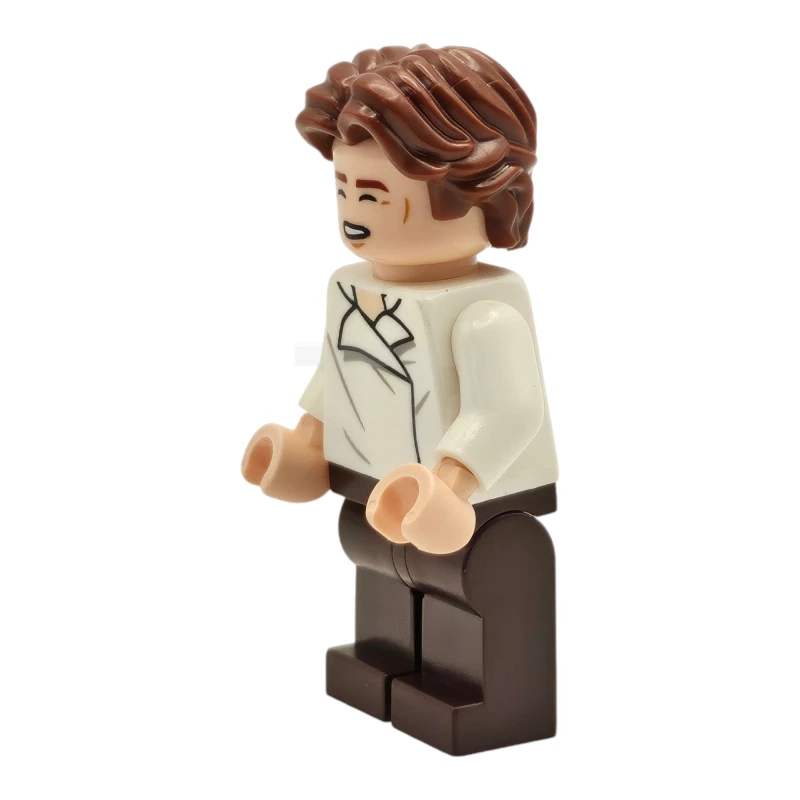 LEGO&reg; sw1371 Han Solo
