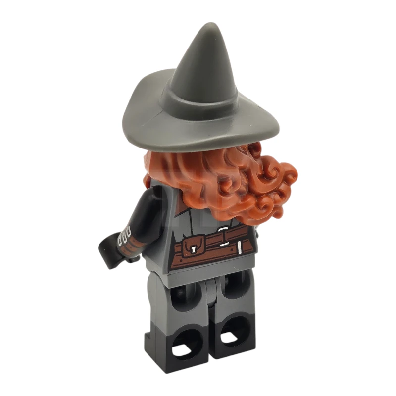 LEGO&reg; coldnd12 Tasha the Witch Queen
