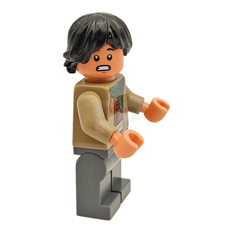 LEGO&reg; sw1361 Sig Greebling