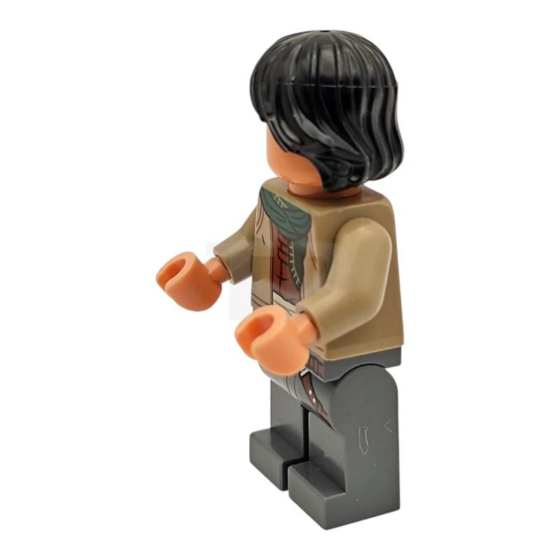 LEGO&reg; sw1361 Sig Greebling