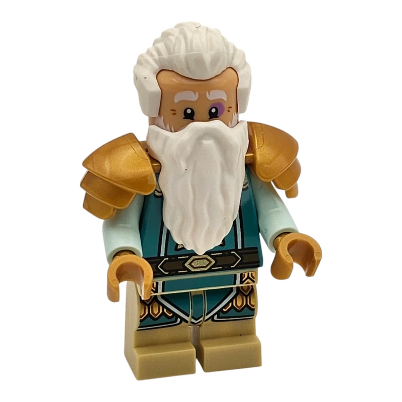 LEGO&reg; idea180 Chierico nano