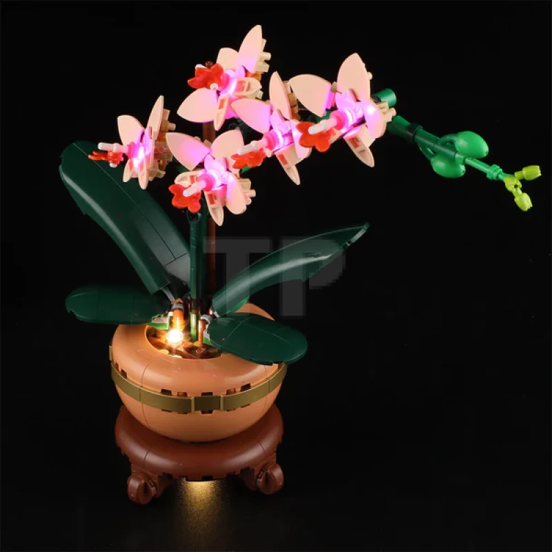 Light kit for LEGO® 10343 Mini Orchid