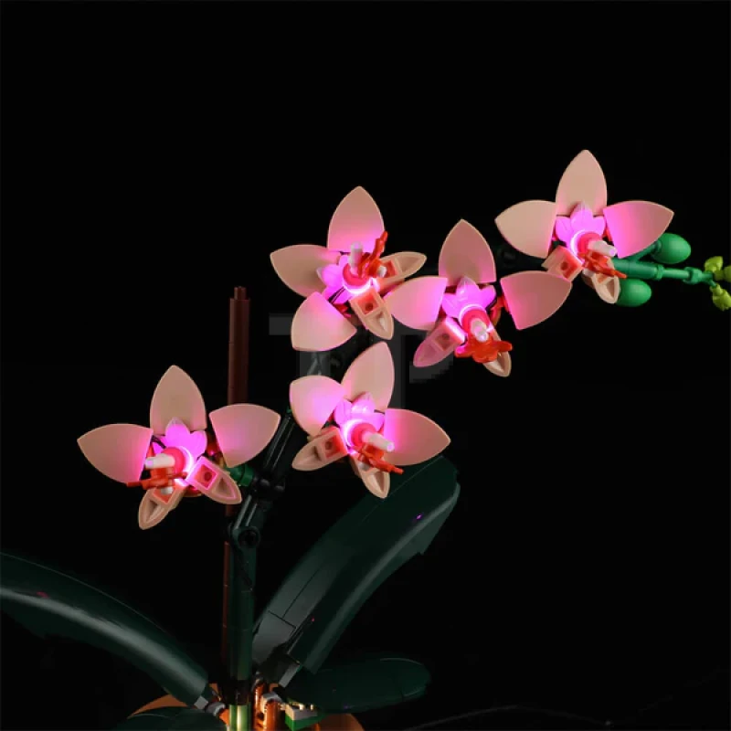 Light kit for LEGO® 10343 Mini Orchid