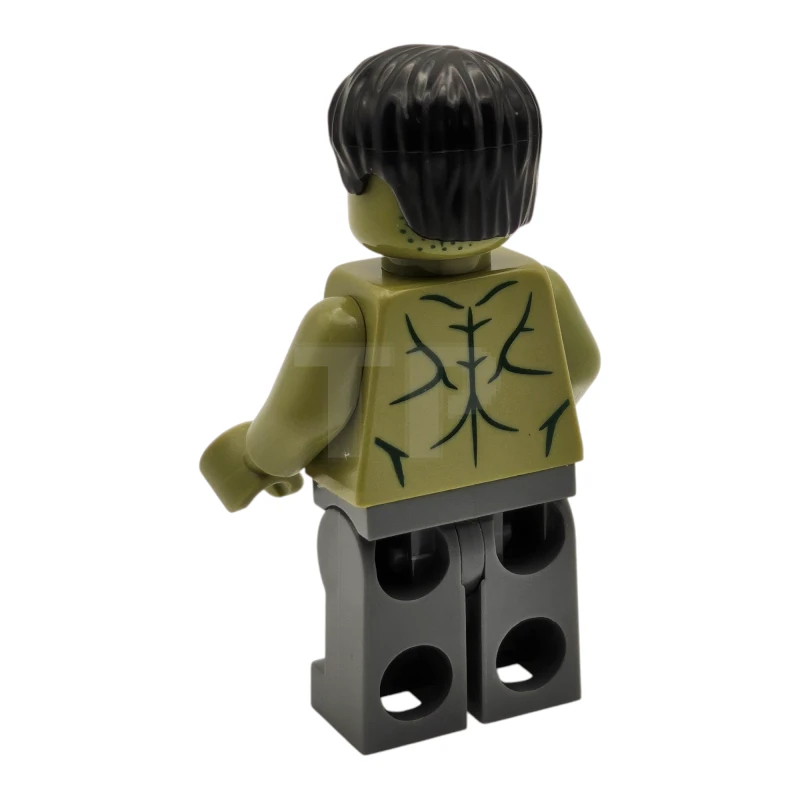 LEGO&reg; sh1013 Hulk