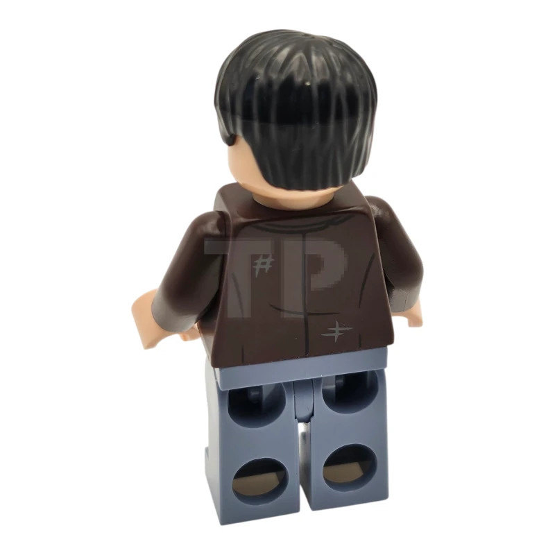 LEGO&reg; hp528 Harry Potter