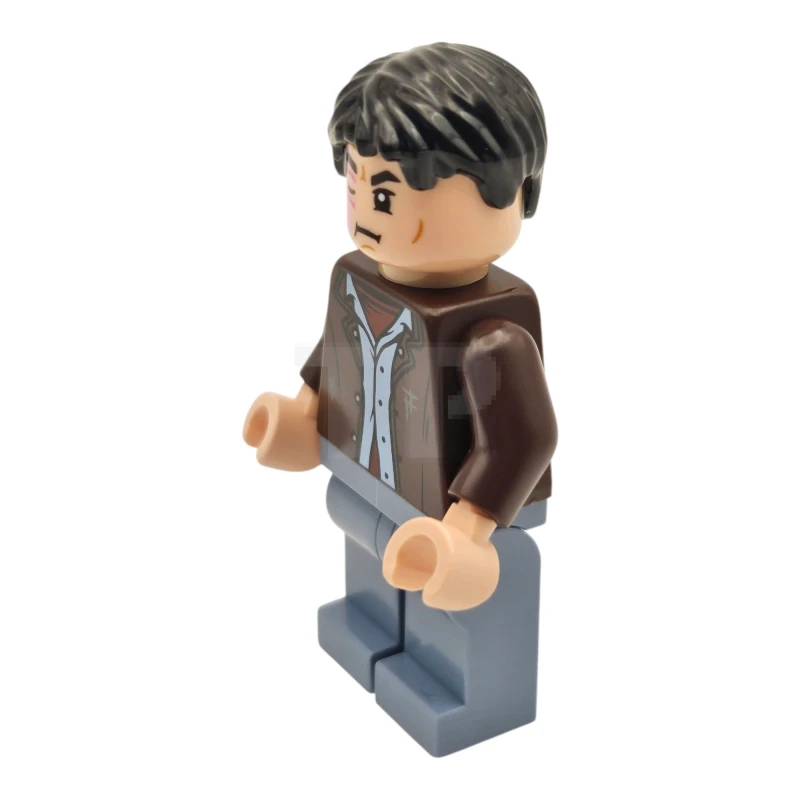 LEGO&reg; hp528 Harry Potter