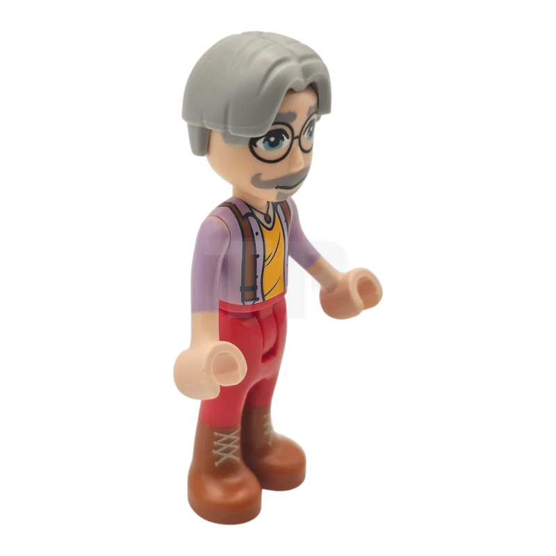 LEGO&reg; frnd0815 Terence