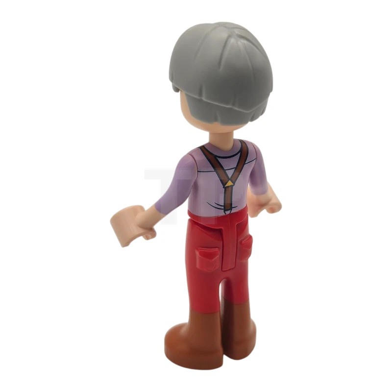 LEGO&reg; frnd0815 Terence