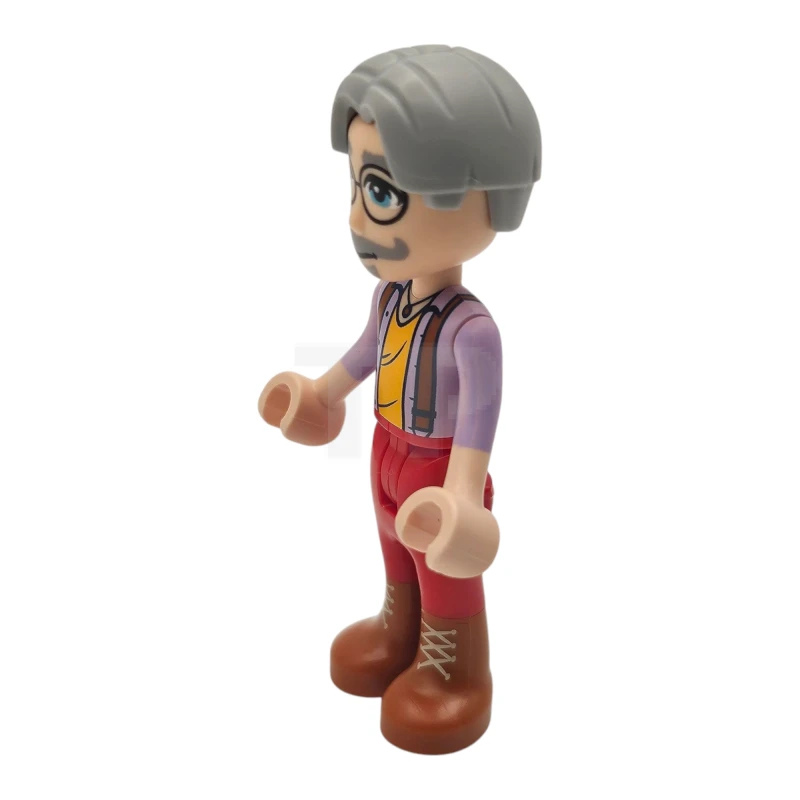 LEGO&reg; frnd0815 Terence