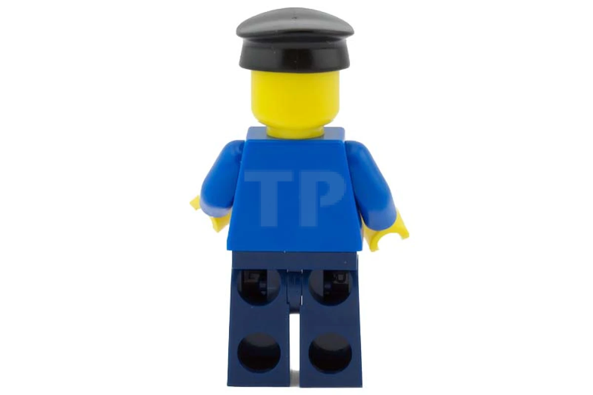 LEGO&reg; twn124 Coachman