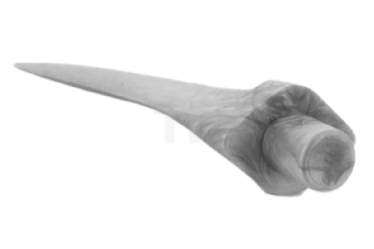 LEGO&reg; 4617190 - 87747 - Barb Grande (Garra, Cuerno)