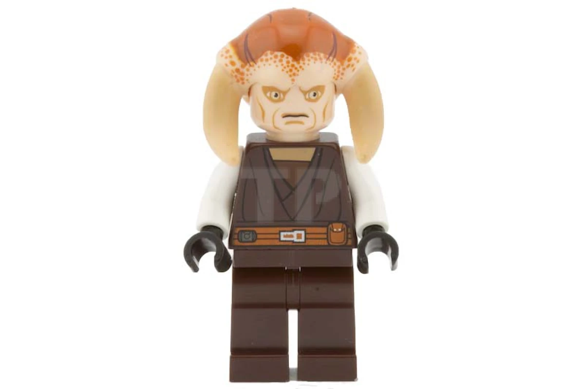 LEGO&reg; sw0308 Saesee Tiin