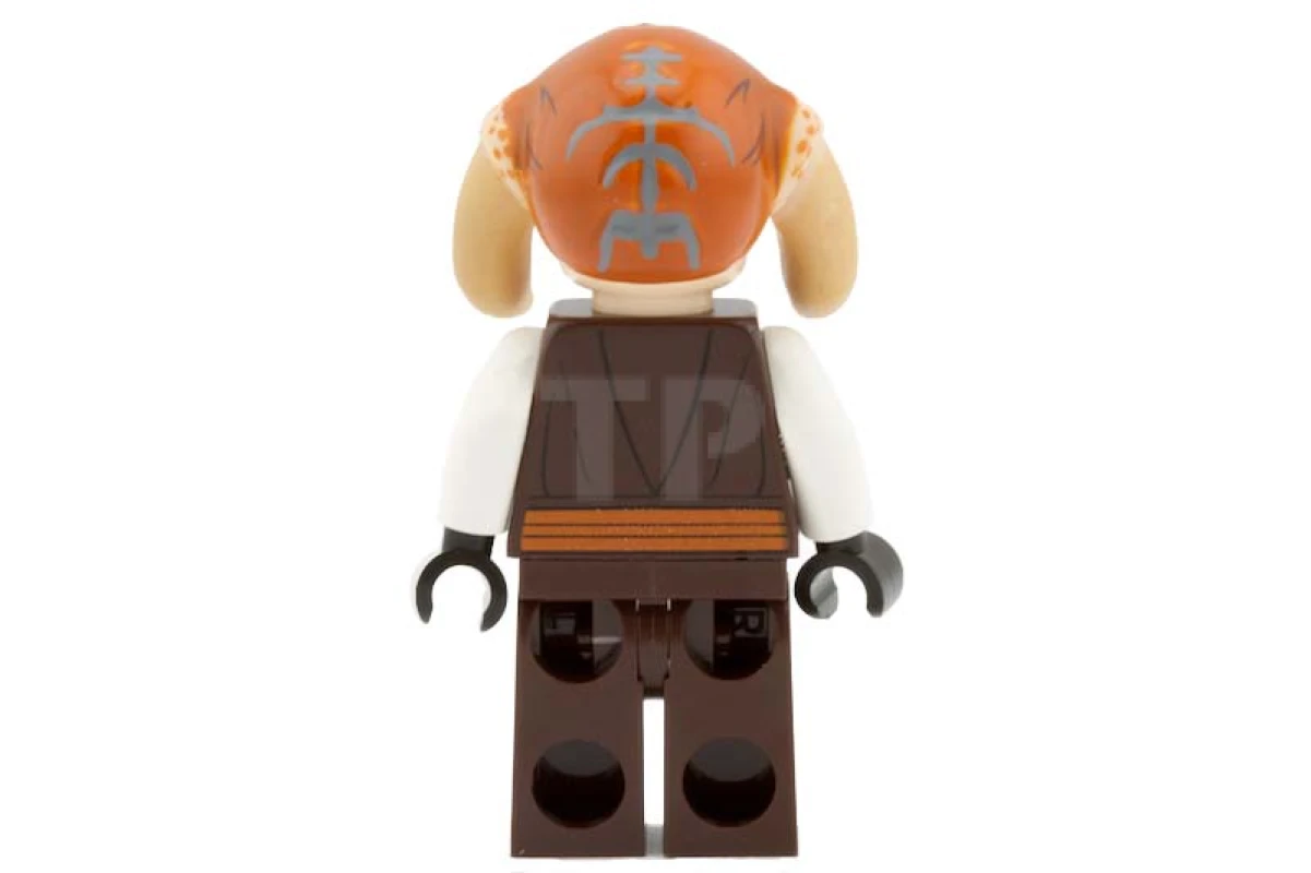 LEGO&reg; sw0308 Saesee Tiin