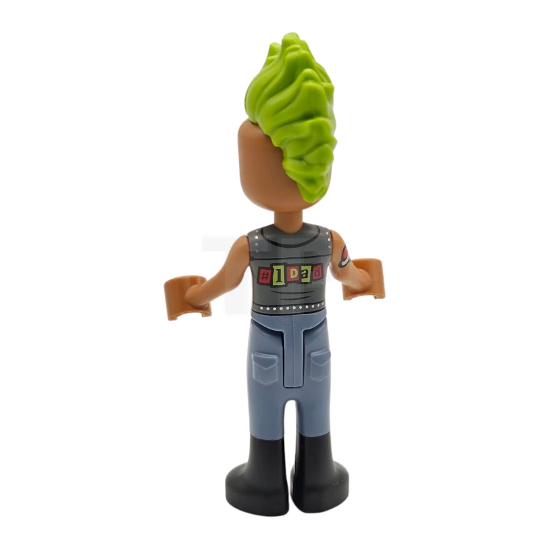 LEGO&reg; frnd0801 Anthony