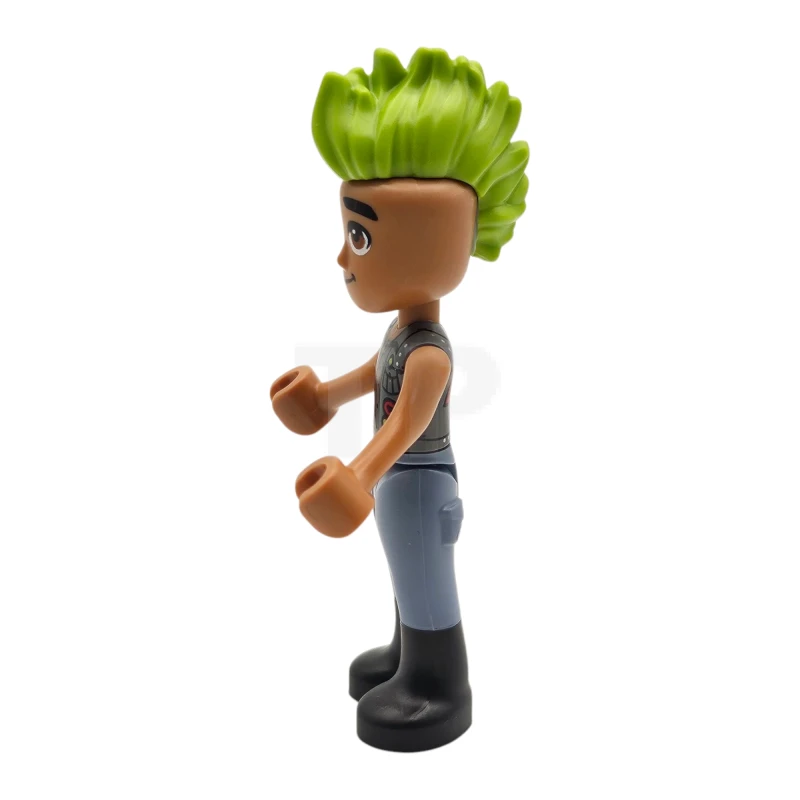 LEGO&reg; frnd0801 Anthony