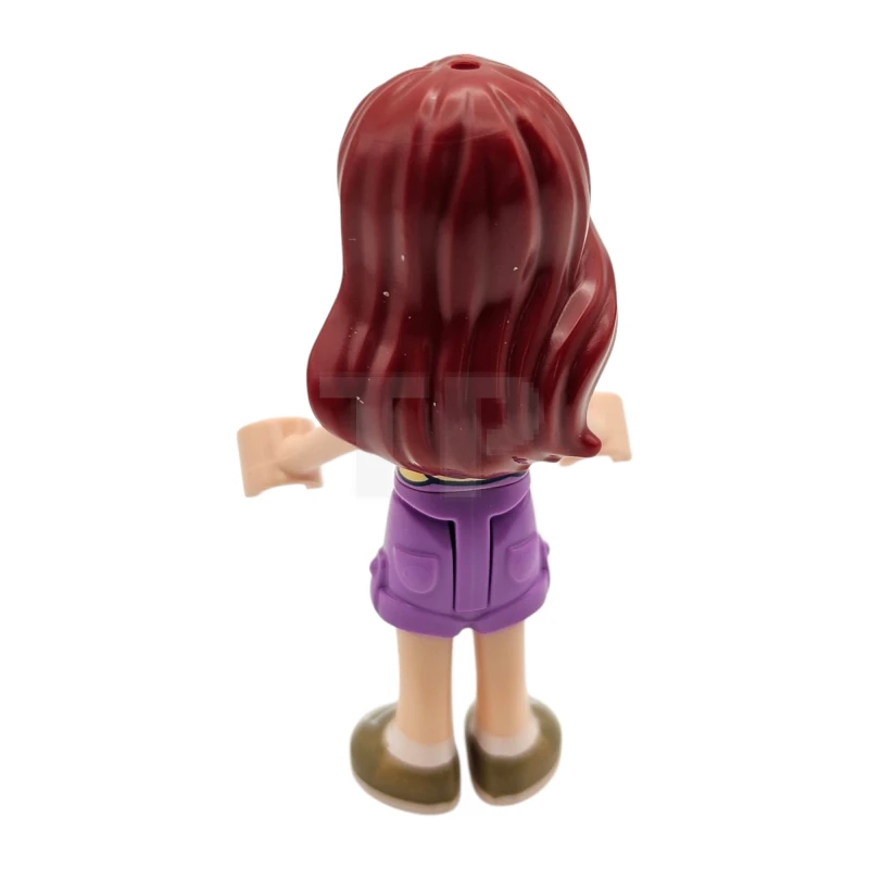 LEGO&reg; frnd0819 Paisley