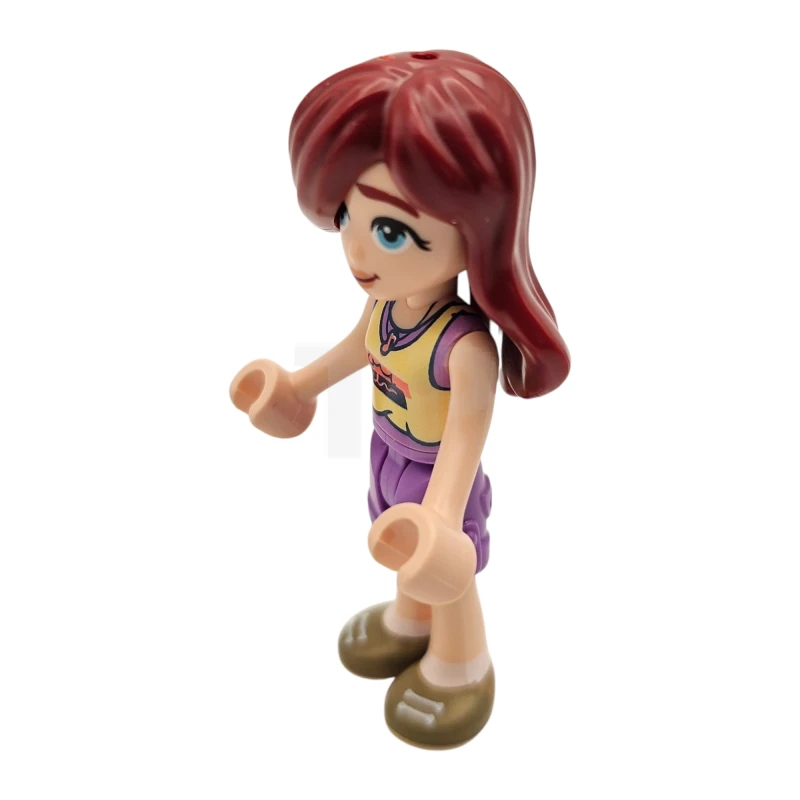 LEGO&reg; frnd0819 Paisley