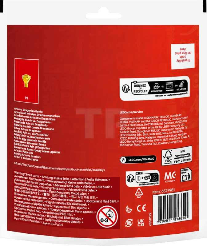 LEGO&reg; 30700 Arin vs. Draconiër