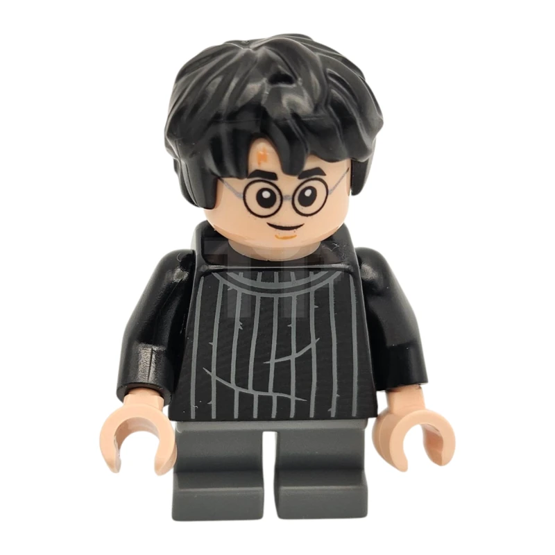 LEGO&reg; hp538 Harry Potter