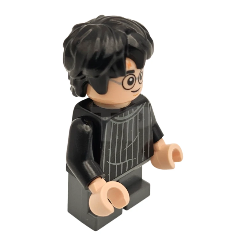 LEGO&reg; hp538 Harry Potter
