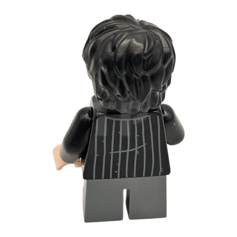 LEGO&reg; hp538 Harry Potter