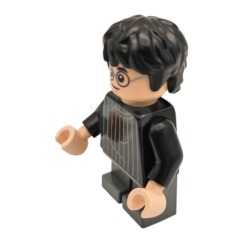LEGO&reg; hp538 Harry Potter