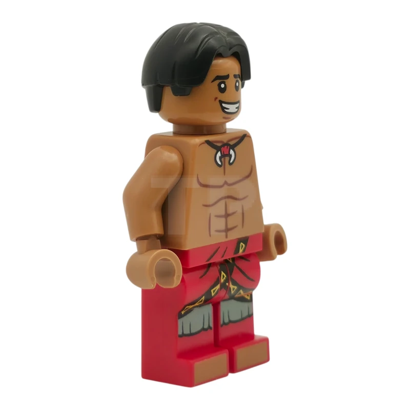 LEGO&reg; dis179 David