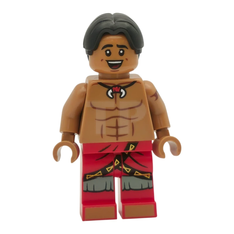 LEGO&reg; dis179 David