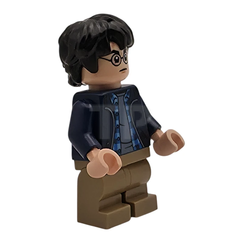 LEGO&reg; hp544 Harry Potter