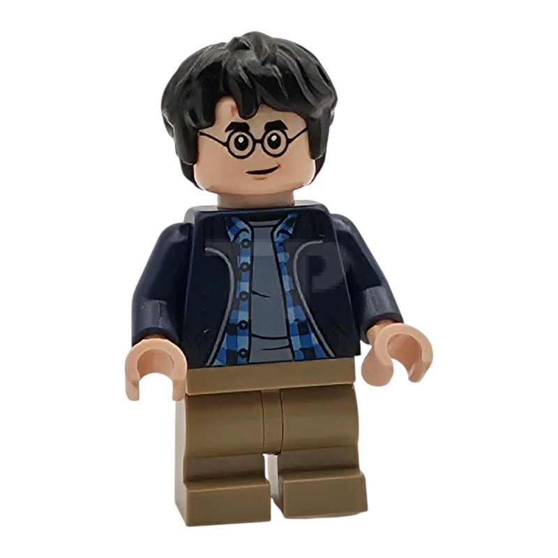 LEGO&reg; hp544 Harry Potter