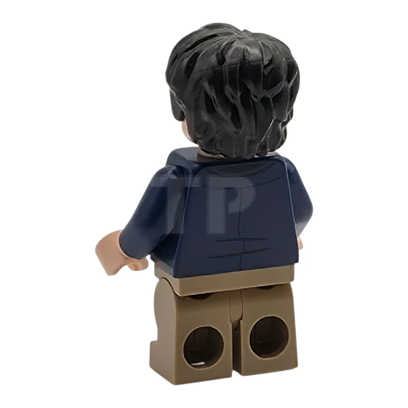 LEGO&reg; hp544 Harry Potter