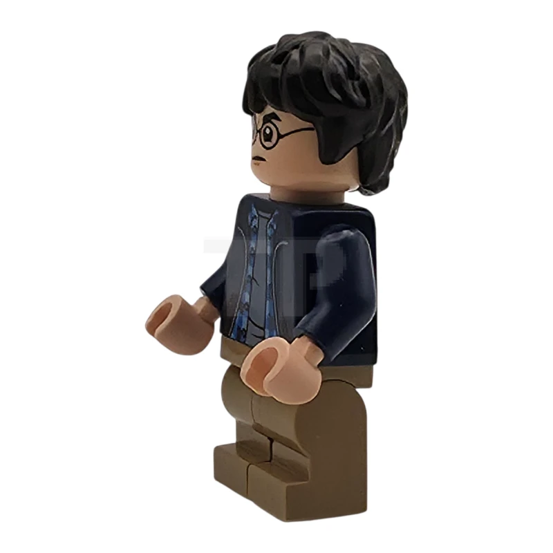 LEGO&reg; hp544 Harry Potter