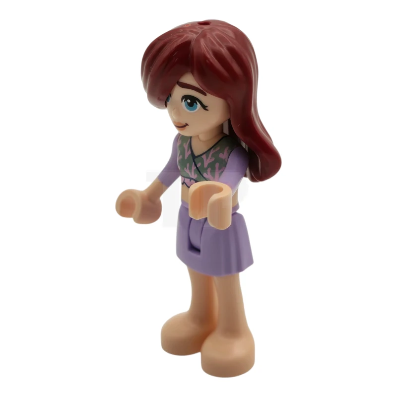 LEGO&reg; frnd0823 Paisley