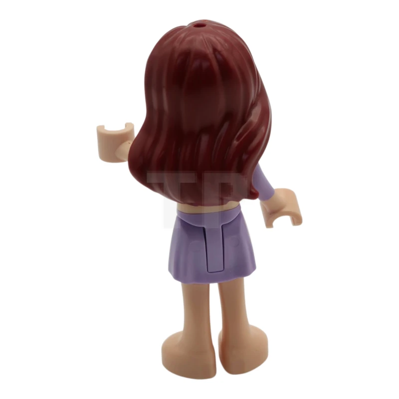 LEGO&reg; frnd0823 Paisley