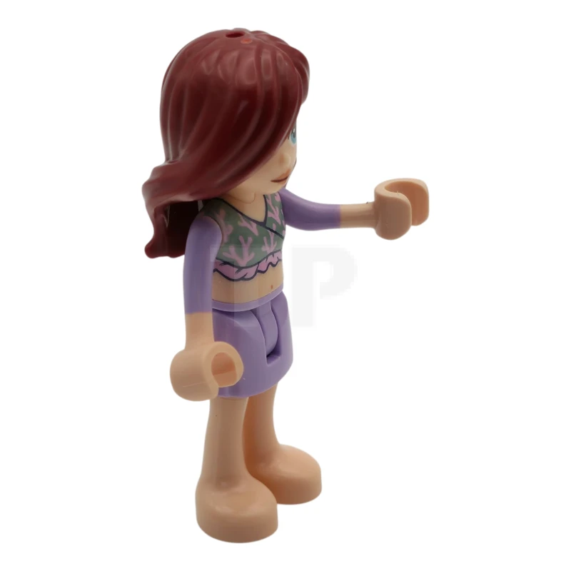 LEGO&reg; frnd0823 Paisley