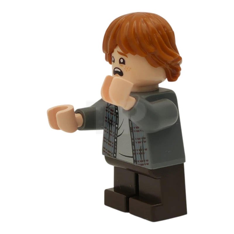 LEGO&reg; hp552 Ron Weasley