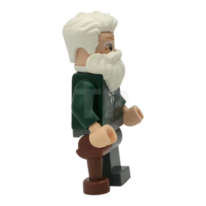 LEGO&reg; hp554 Professor Kettleburn