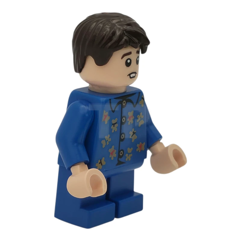 LEGO&reg; hp555 Neville Longbottom