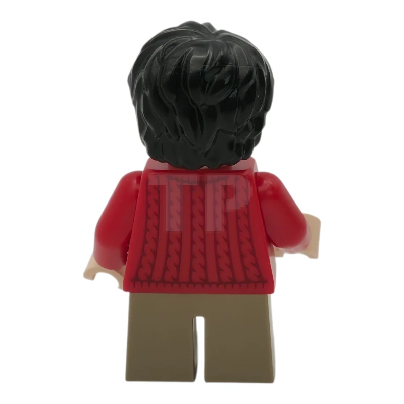 LEGO&reg; hp551 Harry Potter