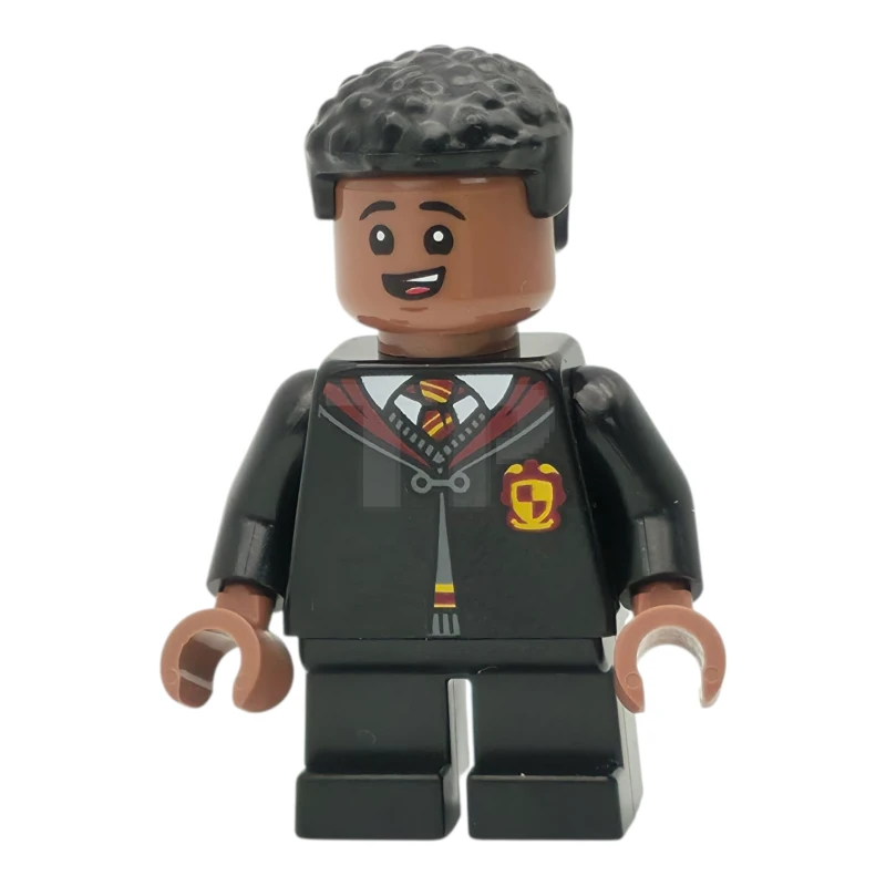 LEGO&reg; hp557 Dean Thomas