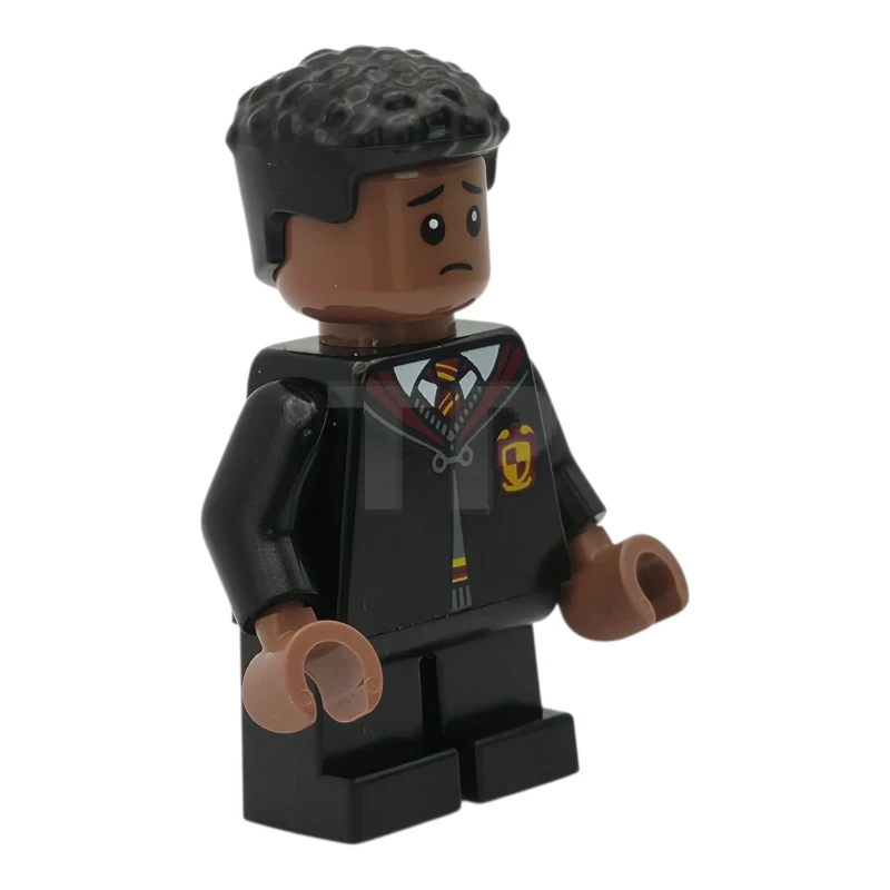 LEGO&reg; hp557 Dean Thomas