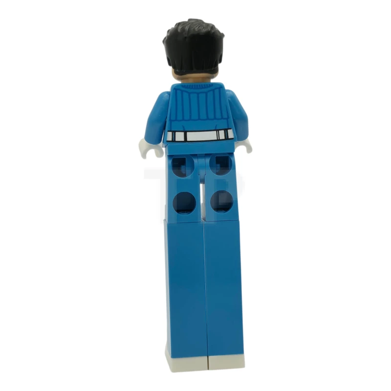 LEGO&reg; sh1049 Reed Richards