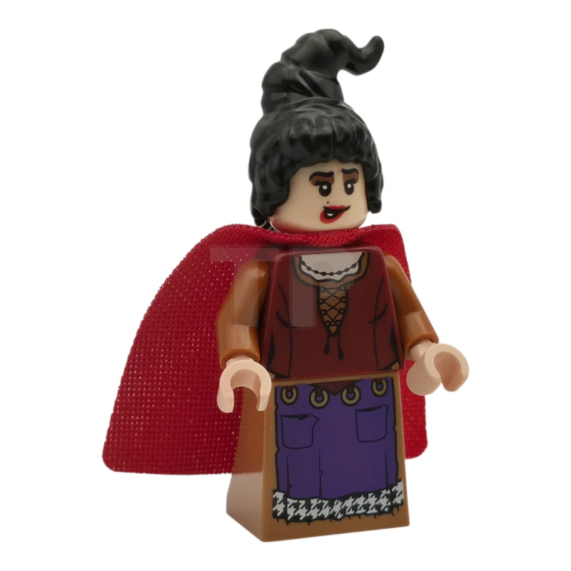 LEGO&reg; idea163 Mary Sanderson